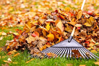 Yard Waste Collection - Last Day will be Monday, December 15th