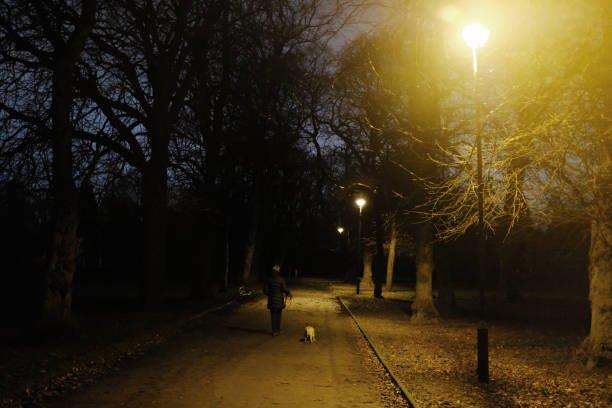 Night Dog Walking