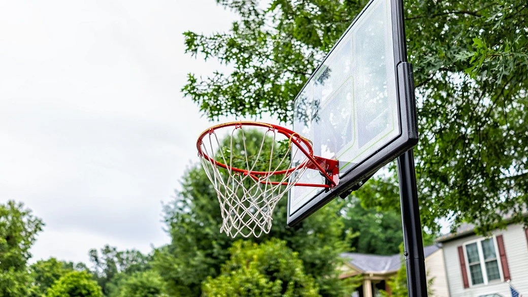 Basketball Net Trees