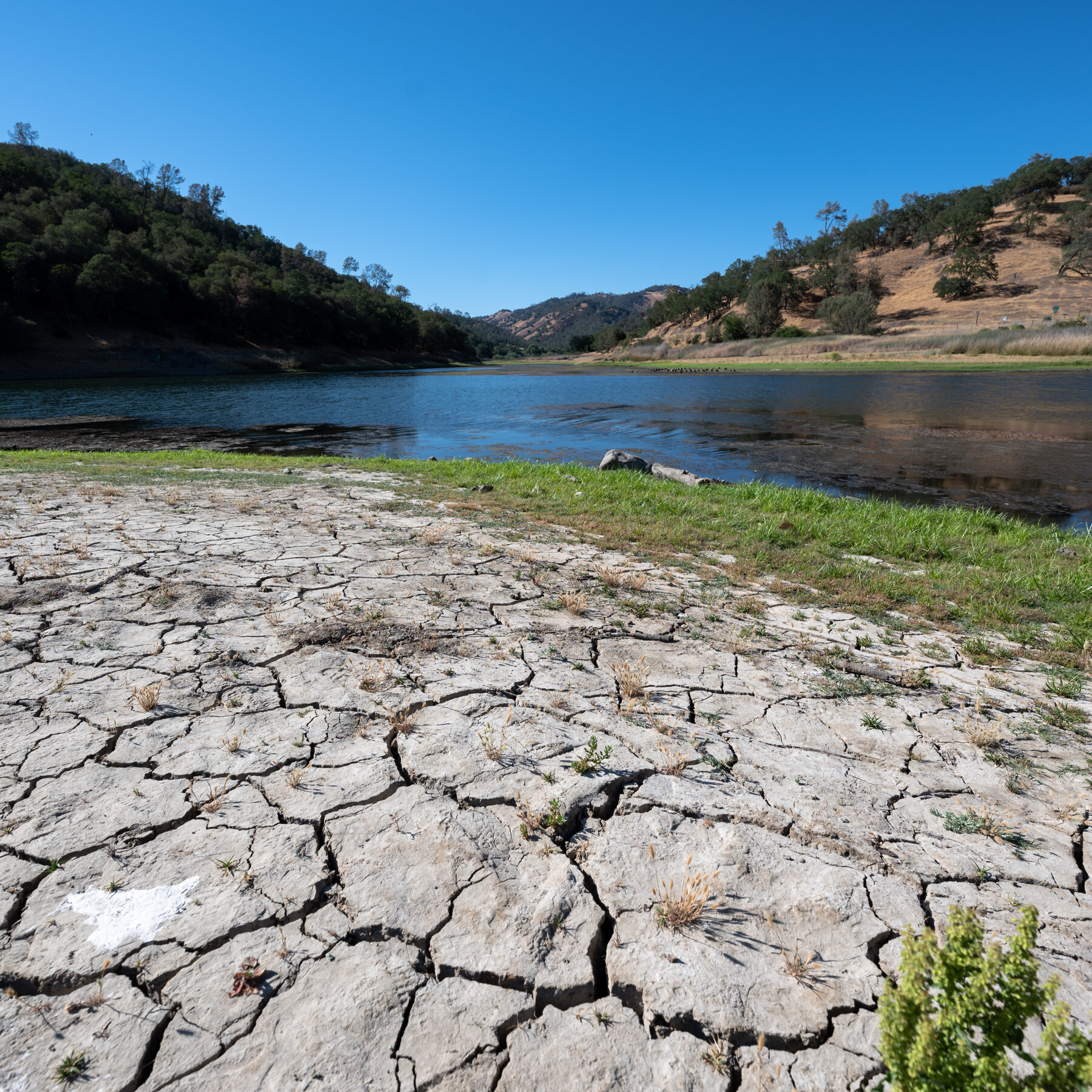 Drought